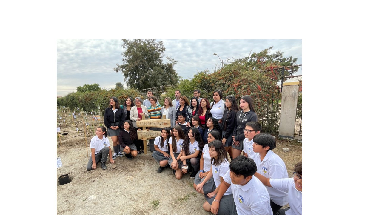 Encuentro con docentes y asistentes de la educación, Jornada de arborización y visita a escuela marcaron la semana del SLEP Los Libertadores