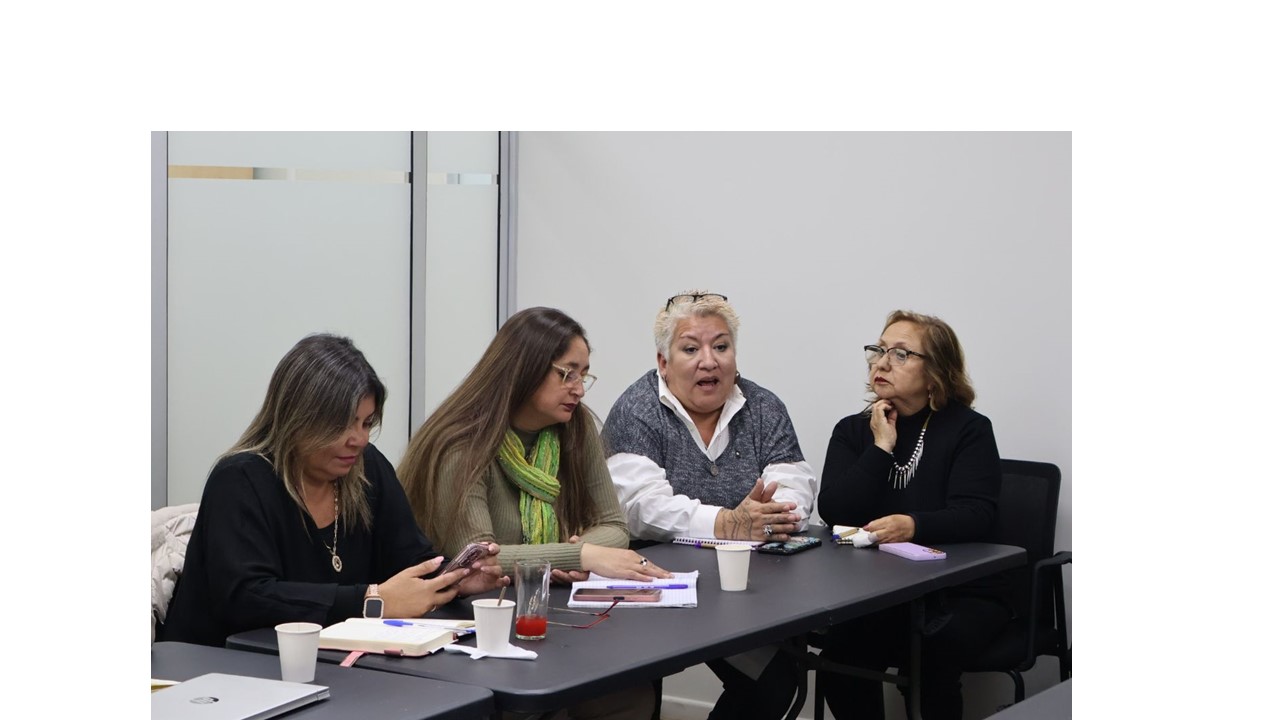 SLEP Los Libertadores presenta propuesta del Plan Anual Local 2025 al Comité Directivo Local