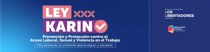 Ley Karin